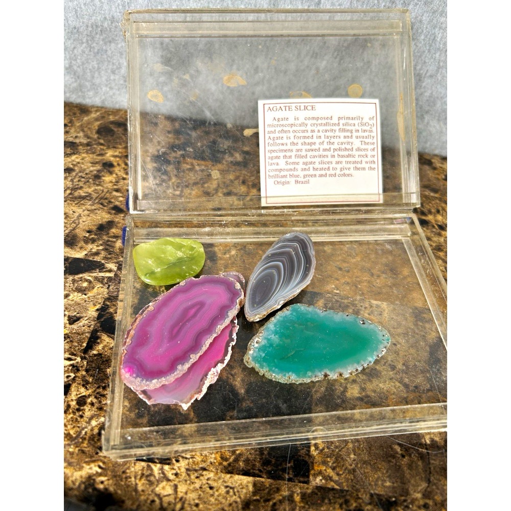 5pc Polished Agate Slice Specimens Set in Display Case, Brazil